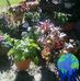 Brett Coren - Facebook