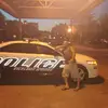 Brett Corum - @brettcorum - TikTok