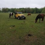 Brett Crisp - @brettcrisp75 - Instagram