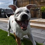 Brett Cross - @crosser31 - Instagram
