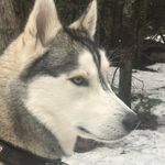 Brett Crossman - @brettcrossman - Instagram
