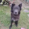 Brett Daniels - @brett.daniels51 - TikTok