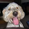 Brett Danielson - @brettdanielson69 - TikTok
