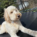 Brett Danielson - @brett_danielson8 - Instagram