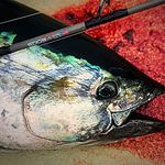 Bret Dickerson - @bd_sportfishing - Instagram