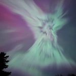 Brett Dillon - @drachengeborencarnivoro - Instagram