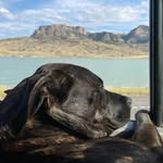 Brett Dixon - @brett.dixon2 - Instagram
