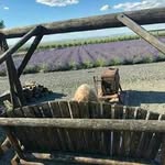 Brett Dixon - @brett__dixon - Instagram