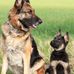 Brett Dixon - Facebook