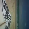Brett Doyle195 - @brettdoylepei - TikTok