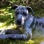 Brett Ferrante - Facebook