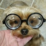Brett Fuller - @brettfuller33 - Instagram
