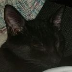 Brett Funk - @bfunk0320 - Instagram