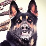 Brett Gallentine - @brettgallentine_ - Instagram