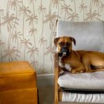 Brett Giles - @brett.giles - Instagram