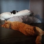 Brett Welgoss - @brettwelgoss - Instagram