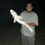 Brett Gower - @brettgower77 - Instagram