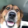 Brett Grant885 - @brettgrant885 - TikTok