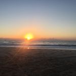 Brett Grant - @brett.grant.3152 - Instagram