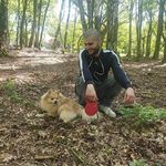 Brett Gregson - @brett.nicholasg - Instagram