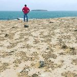 Brett Gresham - @brettgresham - Instagram