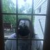 Brett Grimes - Facebook