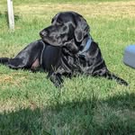 Brett Haley - @bretthaley47 - Instagram