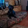 Brett Haley - @brett.haley1 - TikTok