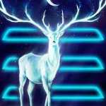 Brett Hammer - @hammer200 - Instagram