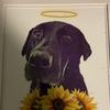 bretthammer447 - @bchammer8668 - TikTok