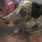 Brett Hampton - @brett_hampton1 - Instagram