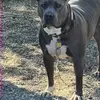 Brett Harvey - @brett.harvey03 - TikTok