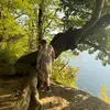 Brett Harvey - @brett.harvey6 - TikTok