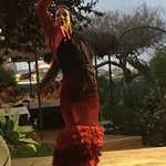 Brett Korshaven - @brettkorshaven - Instagram