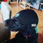 Brett Herring - @burythebrett - Instagram