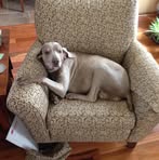 Brett Highfill - Facebook