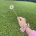 Britt Hoffmann - Facebook
