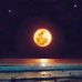 Brett Horgan - Facebook