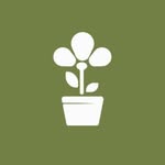 Vivero Betty Lou Jardin Holanda - @viverobettylou - Instagram