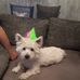 Britt Holz - Facebook
