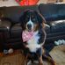 Brett Houdeshell - Facebook