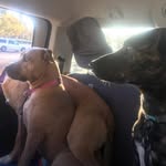 Brett Howe - @bretthowe7 - Instagram