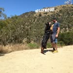 Brett Howell - @brett_howell - Instagram