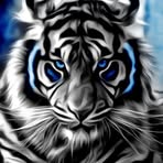 Brett Hunt - Facebook
