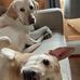 Brett Jolley - Facebook