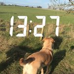 Brettkane - @brettkane64 - Instagram