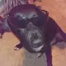 Brett Krueger897 - @snailseeker - TikTok