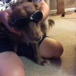Brett Lambert - @idkwhat_this_shouldbe - Instagram