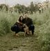 Bret Linton - Facebook