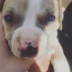 @brettludwig1996 - Instagram
